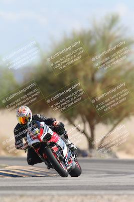 media/Oct-13-2025-Moto Forza (Mon) [[a66d839500]]/3-B Group/Session 4 Turn 4 Tree of Life/